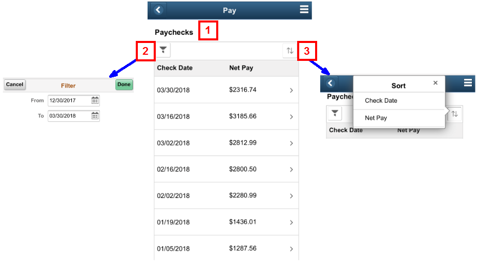 Displays the New Pay Page with Filter and Display Options