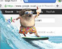 A humorous illustration of a small animal literally wave surfing over a web browser