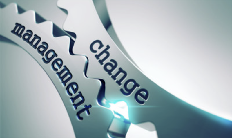 Organizational Change Management Essentials