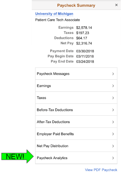 Paycheck Summary View
